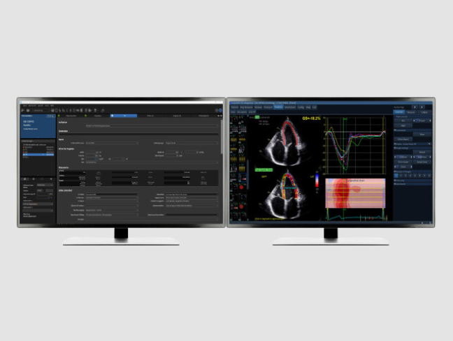 Two computer monitors show screenshots of ViewPoint 6 software